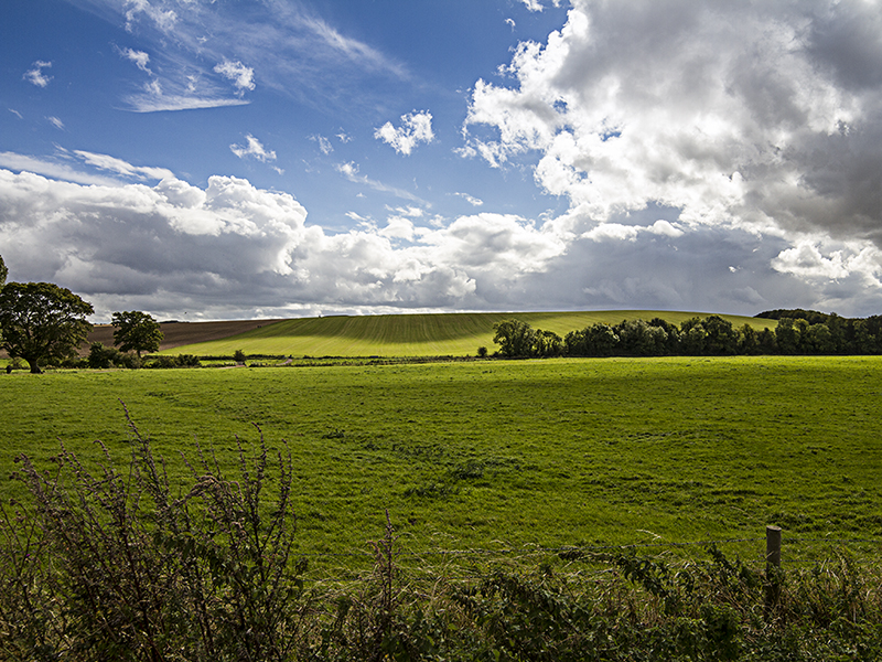 IMAGE: http://bimmermail.com/UK2012/Day%20Five/wklb06-sm.jpg