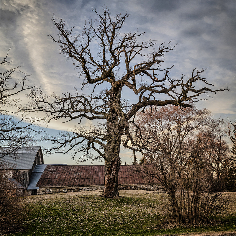 IMAGE: http://bimmermail.com/banda/BNA524-sm.jpg