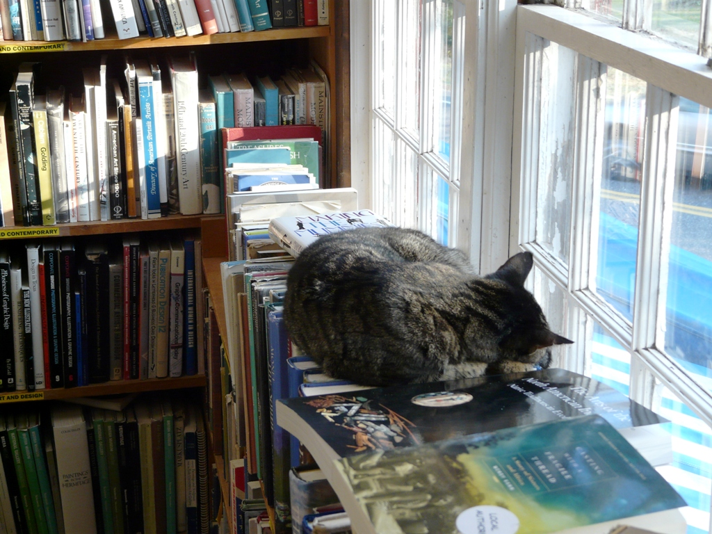 Book Barn Cats